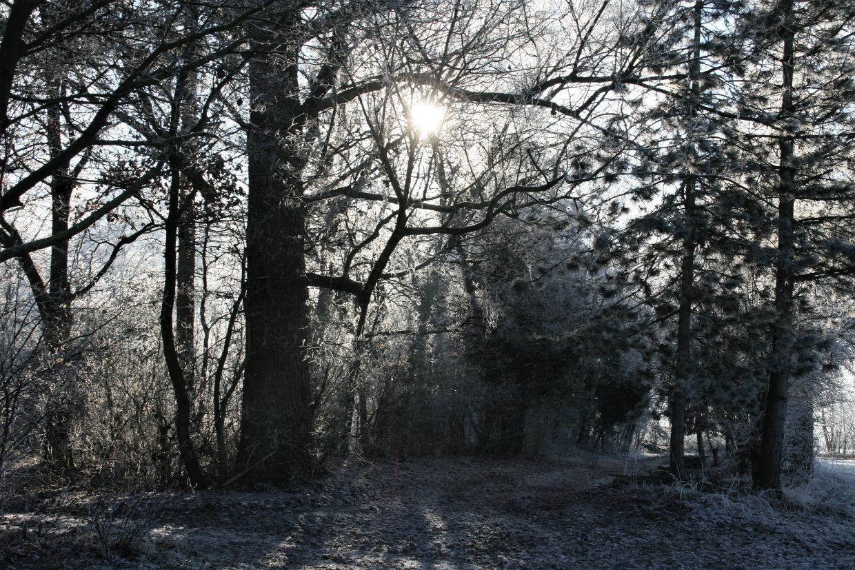 Winterlandschaft